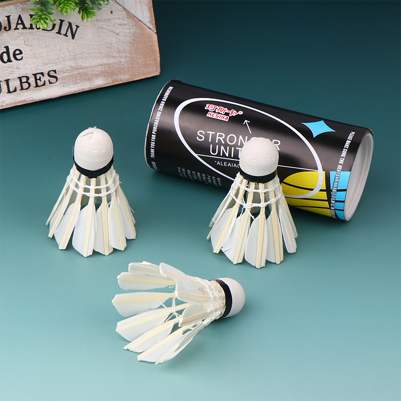 Volants de Badminton professio - Badminton Youth avis et prix