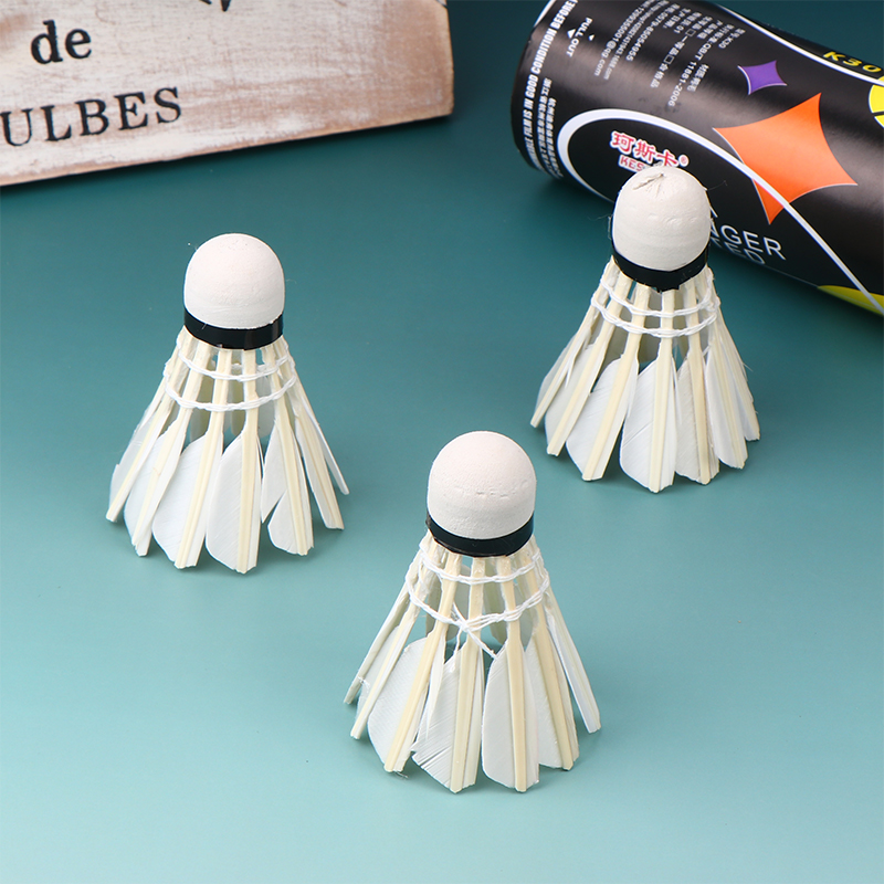 Volants de Badminton professio - Badminton Youth avis et prix